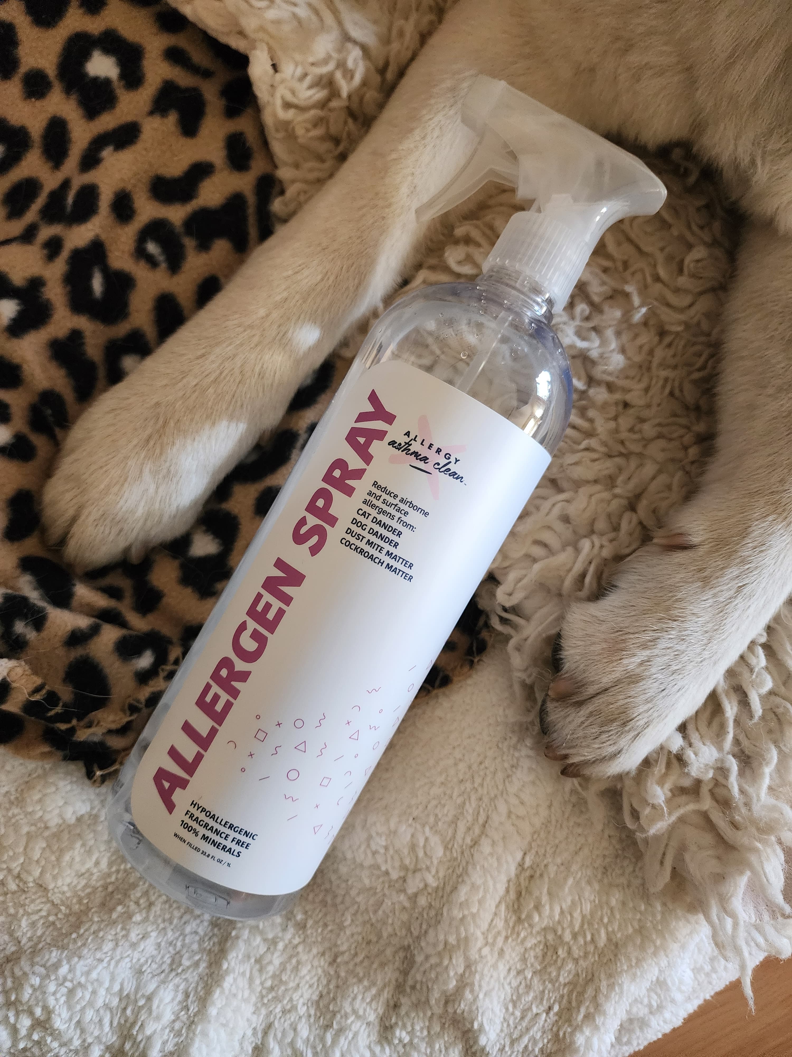 Allergy Defender Allergen Spray with a resting dog