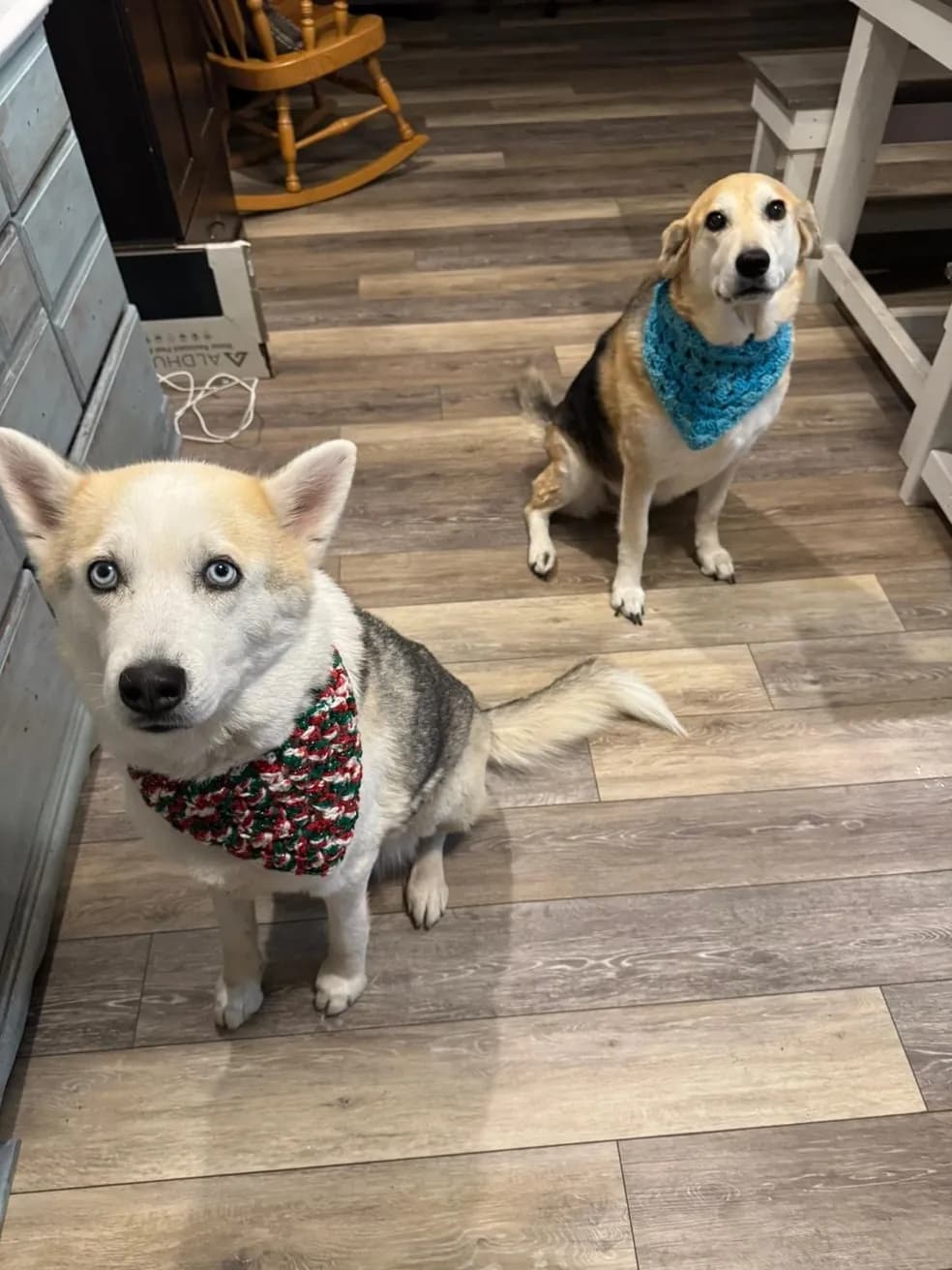 Handmade pet bandana