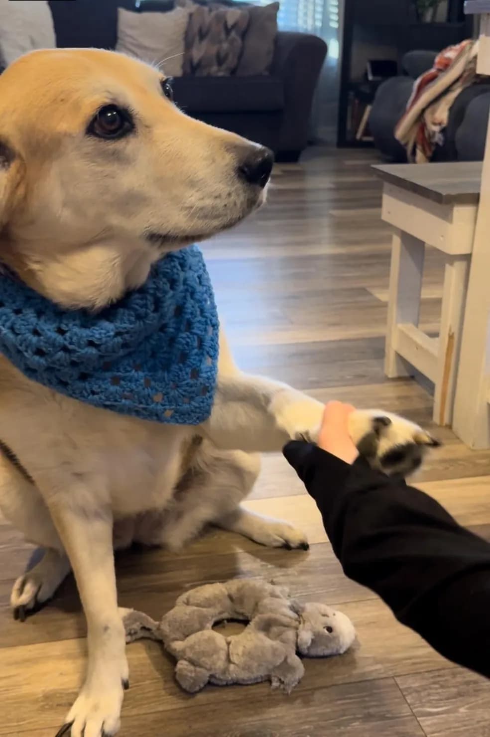 Handmade pet bandana