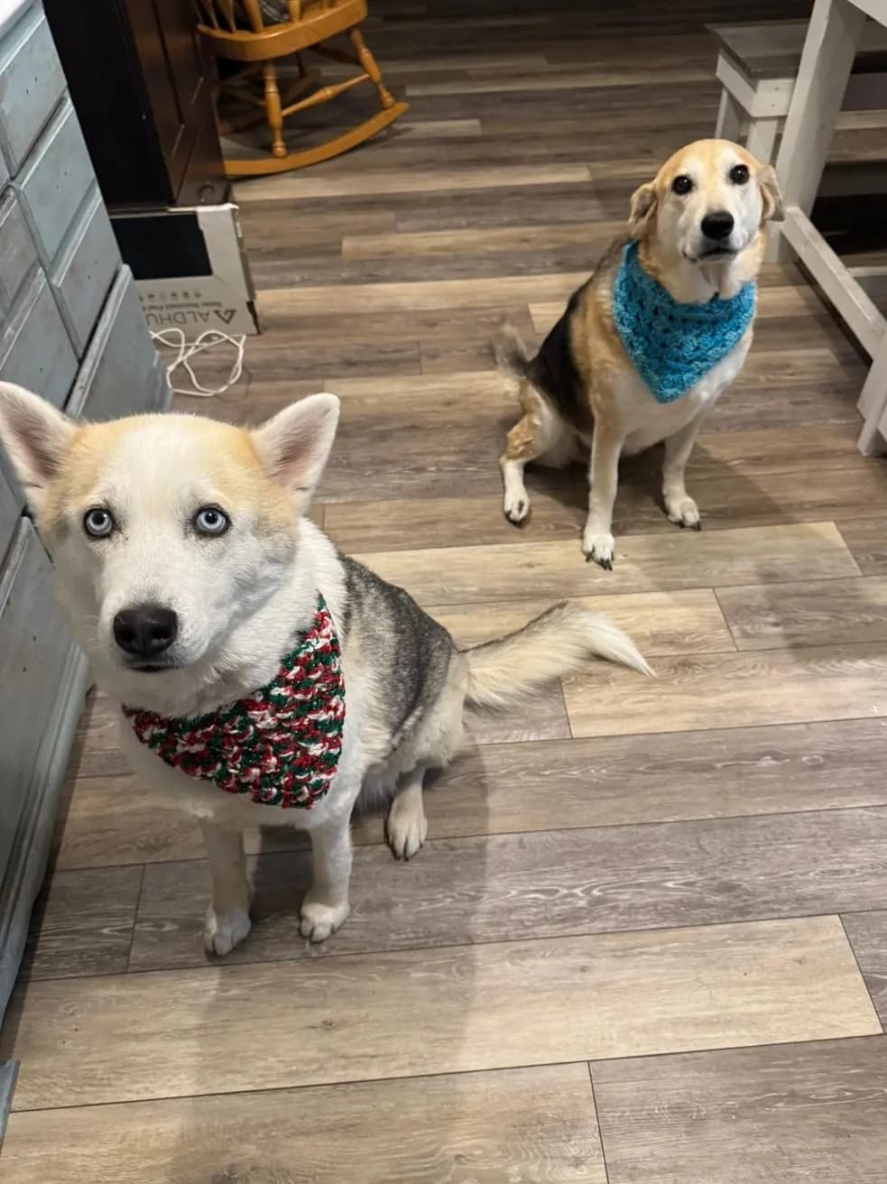 Handmade pet bandana