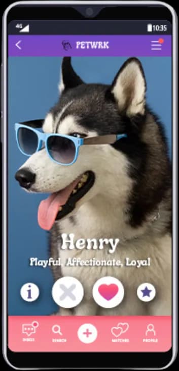 Petwrk app - discover pets