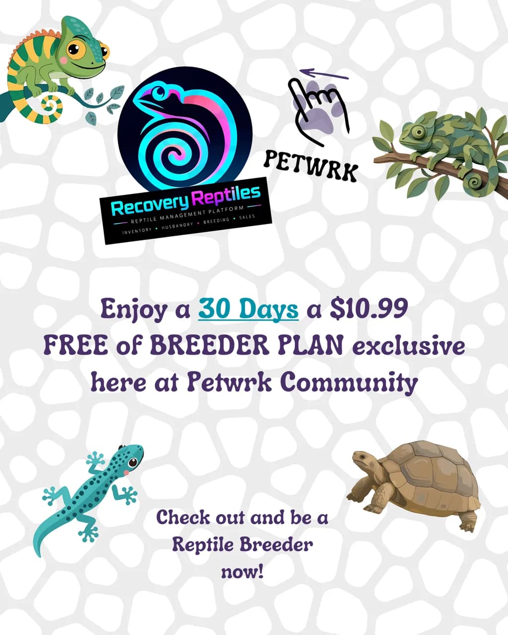Recovery Reptiles