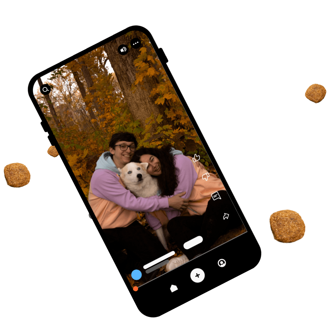 Pet greeting video on mobile