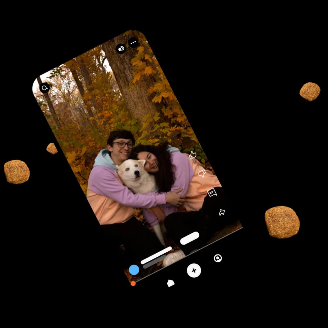 Pet greeting video on mobile
