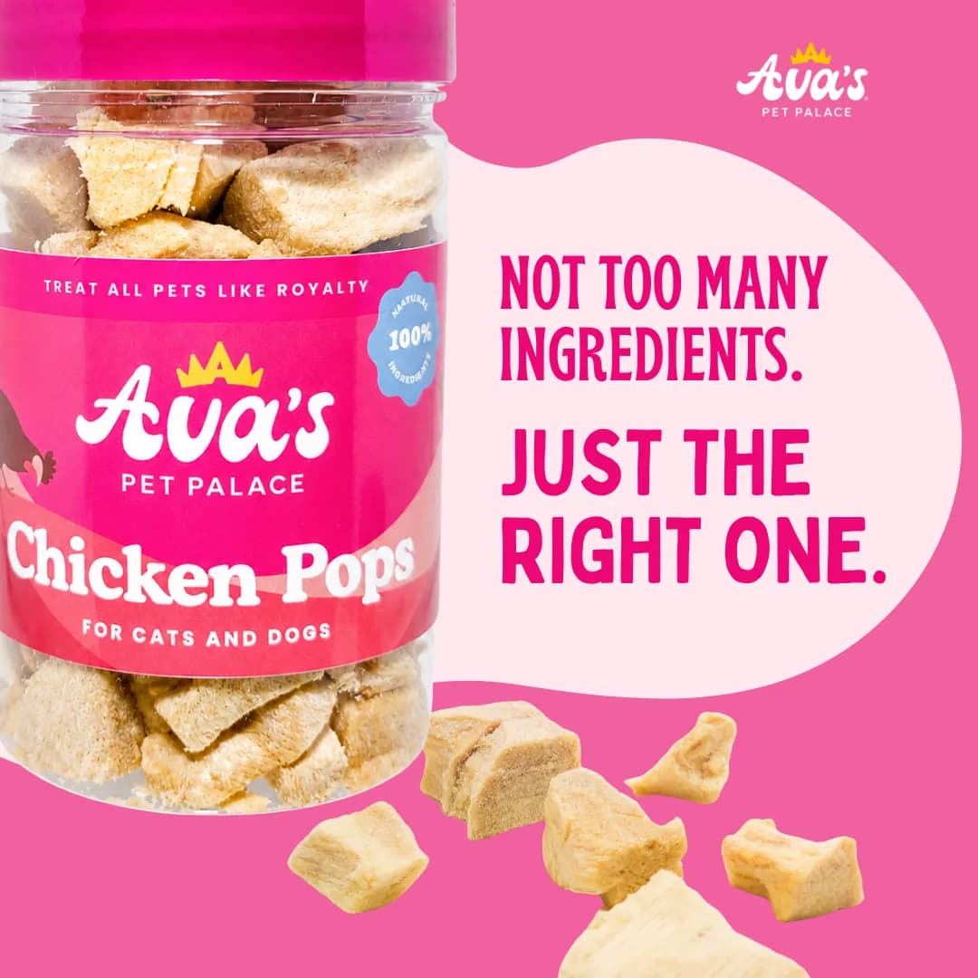 Chicken Pops freeze-dried chicken breast treats