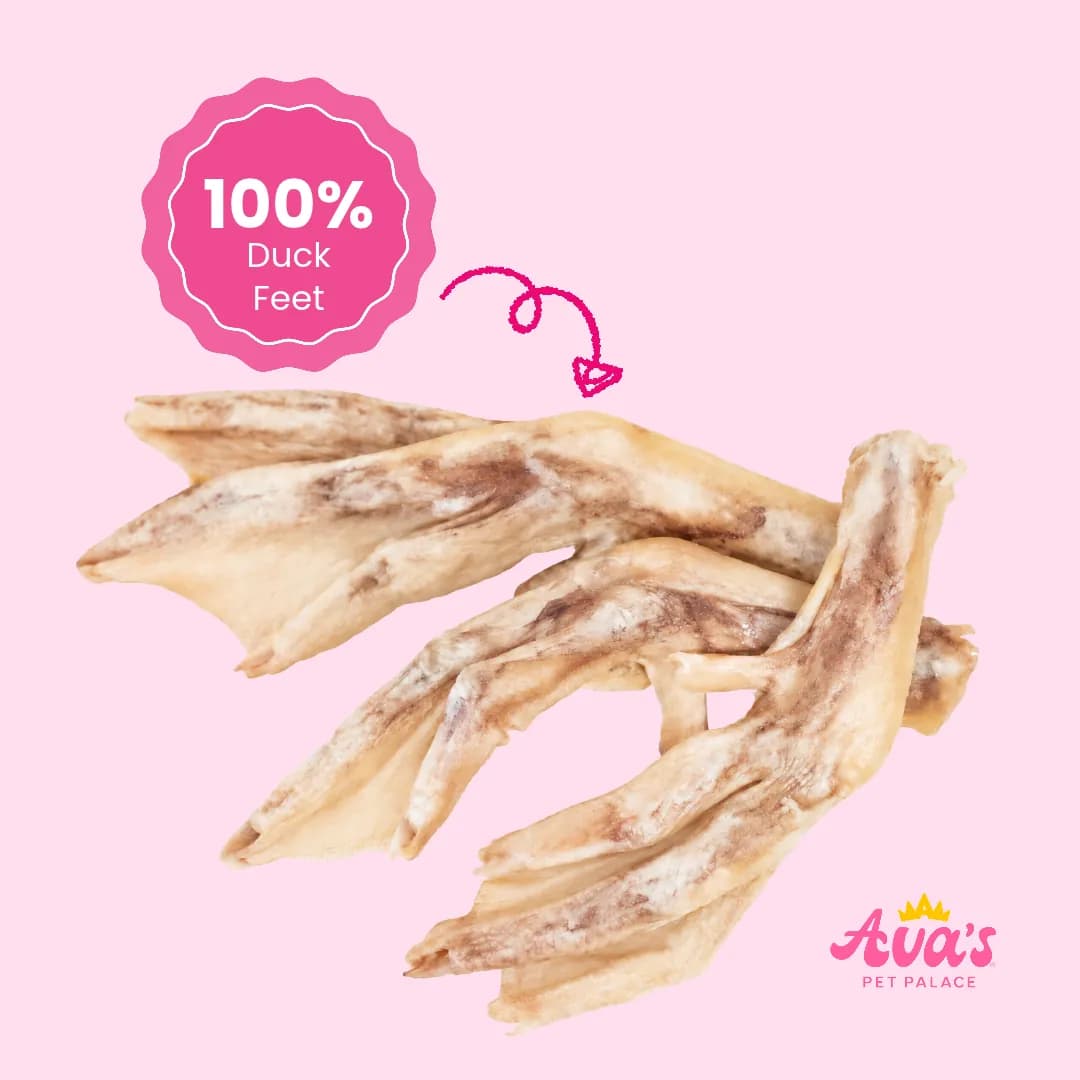 Quack Tracks freeze-dried duck feet chews