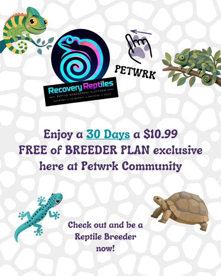 Recovery Reptiles × Petwrk promo — 30 days of the $10.99 Breeder plan free, exclusive to the Petwrk community